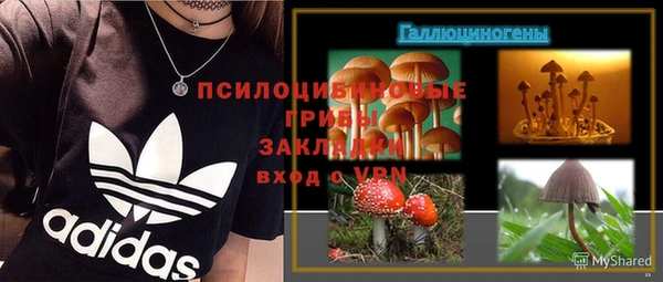 амф Арсеньев